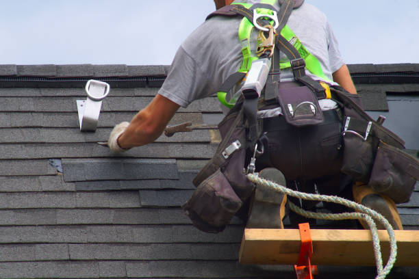Best Metal Roofing Contractor  in Swartz Creek, MI