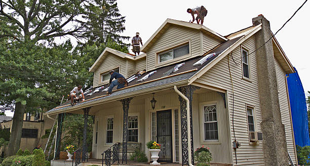 Best Roof Maintenance Services  in Swartz Creek, MI